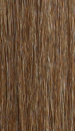 CHESTNUT BROWN